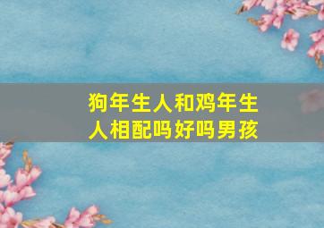 狗年生人和鸡年生人相配吗好吗男孩