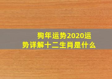 狗年运势2020运势详解十二生肖是什么