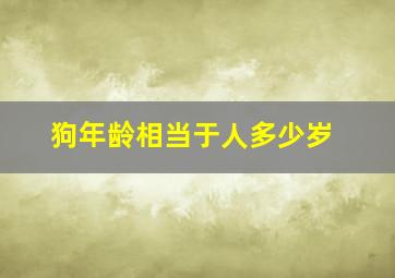 狗年龄相当于人多少岁