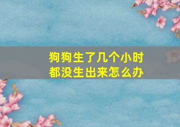 狗狗生了几个小时都没生出来怎么办