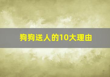 狗狗送人的10大理由