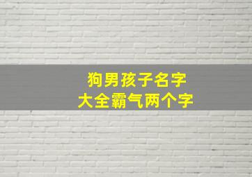 狗男孩子名字大全霸气两个字