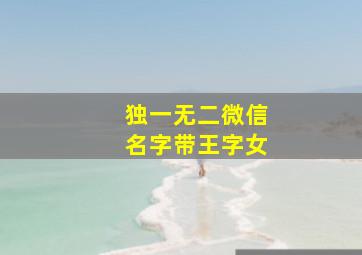 独一无二微信名字带王字女