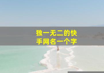 独一无二的快手网名一个字