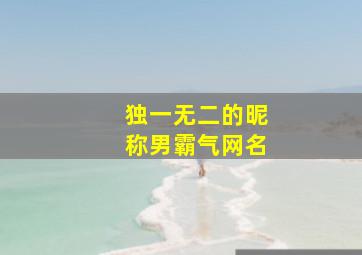 独一无二的昵称男霸气网名