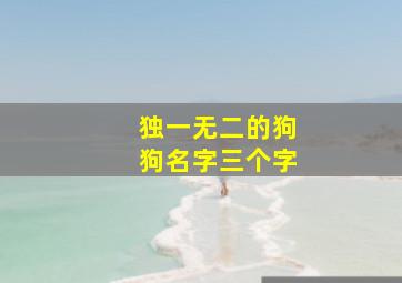 独一无二的狗狗名字三个字