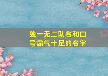 独一无二队名和口号霸气十足的名字