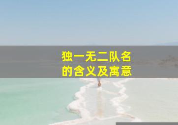 独一无二队名的含义及寓意