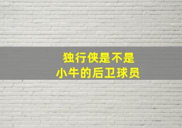 独行侠是不是小牛的后卫球员