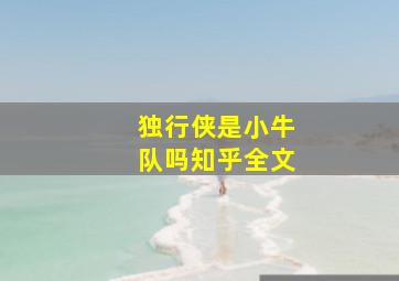 独行侠是小牛队吗知乎全文