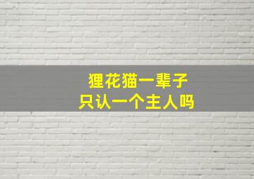 狸花猫一辈子只认一个主人吗