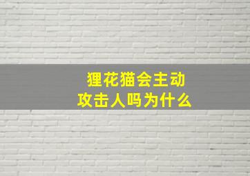 狸花猫会主动攻击人吗为什么