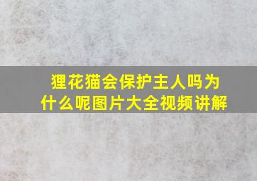 狸花猫会保护主人吗为什么呢图片大全视频讲解