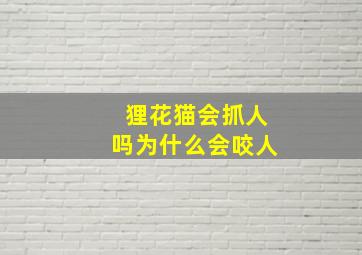 狸花猫会抓人吗为什么会咬人