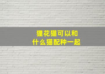 狸花猫可以和什么猫配种一起