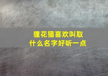 狸花猫喜欢叫取什么名字好听一点