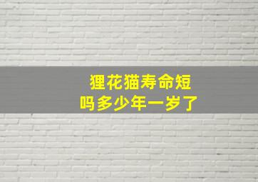 狸花猫寿命短吗多少年一岁了