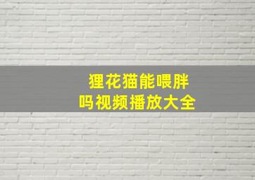 狸花猫能喂胖吗视频播放大全