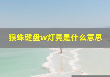 狼蛛键盘w灯亮是什么意思