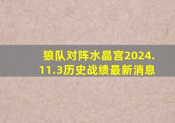 狼队对阵水晶宫2024.11.3历史战绩最新消息