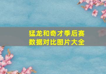 猛龙和奇才季后赛数据对比图片大全