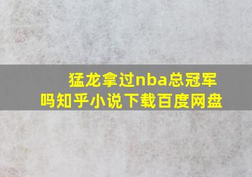 猛龙拿过nba总冠军吗知乎小说下载百度网盘