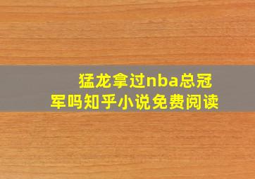 猛龙拿过nba总冠军吗知乎小说免费阅读