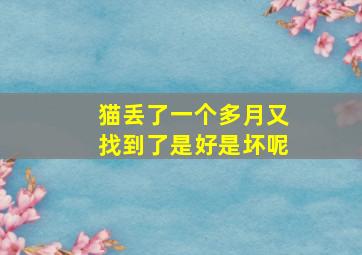 猫丢了一个多月又找到了是好是坏呢