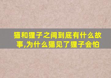 猫和狸子之间到底有什么故事,为什么猫见了狸子会怕