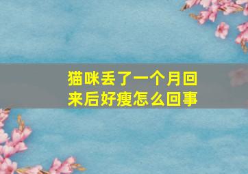 猫咪丢了一个月回来后好瘦怎么回事