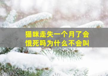 猫咪走失一个月了会饿死吗为什么不会叫