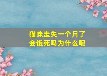 猫咪走失一个月了会饿死吗为什么呢