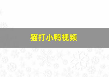 猫打小鸭视频