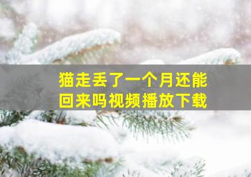 猫走丢了一个月还能回来吗视频播放下载