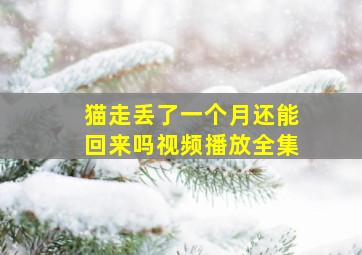 猫走丢了一个月还能回来吗视频播放全集