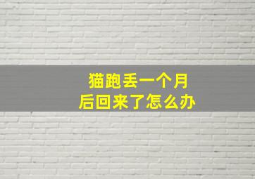 猫跑丢一个月后回来了怎么办