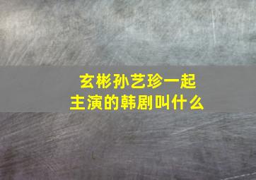 玄彬孙艺珍一起主演的韩剧叫什么