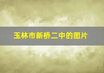 玉林市新桥二中的图片