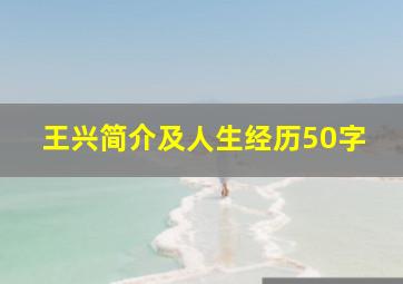 王兴简介及人生经历50字