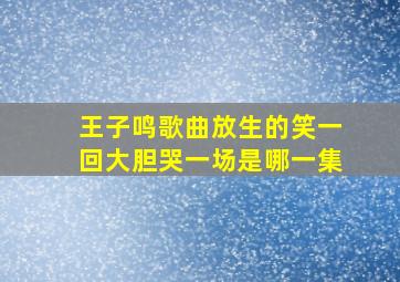 王子鸣歌曲放生的笑一回大胆哭一场是哪一集