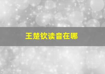 王楚钦读音在哪