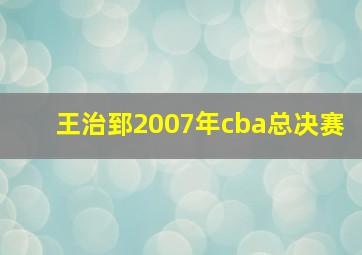 王治郅2007年cba总决赛