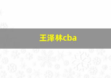 王泽林cba