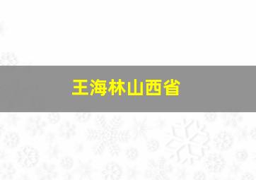 王海林山西省