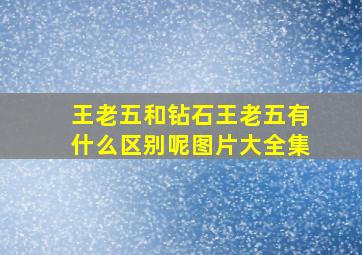 王老五和钻石王老五有什么区别呢图片大全集