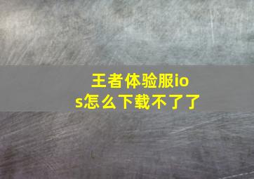 王者体验服ios怎么下载不了了