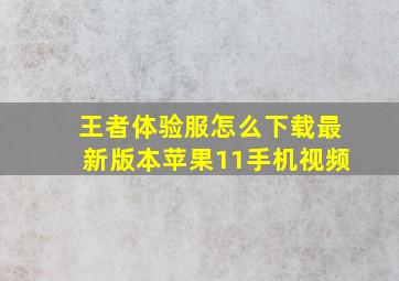 王者体验服怎么下载最新版本苹果11手机视频