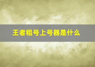 王者租号上号器是什么