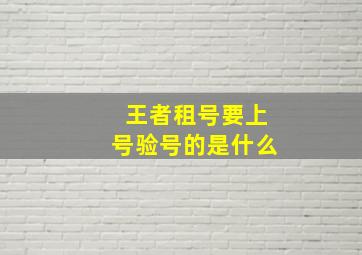 王者租号要上号验号的是什么