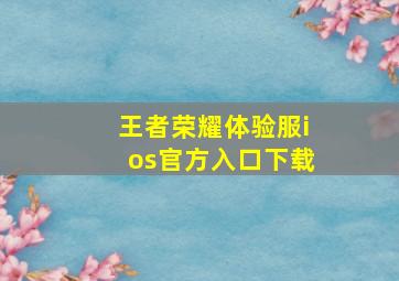 王者荣耀体验服ios官方入口下载